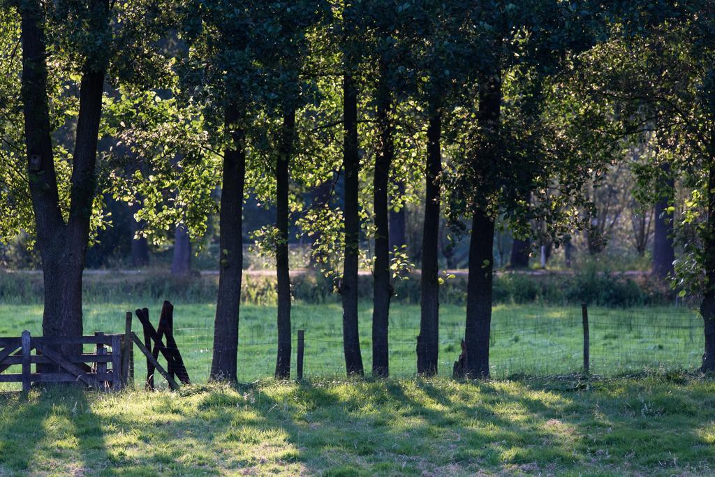 Blier Herne Gorredijk Exteriör bild